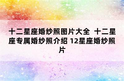 十二星座婚纱照图片大全  十二星座专属婚纱照介绍 12星座婚纱照片